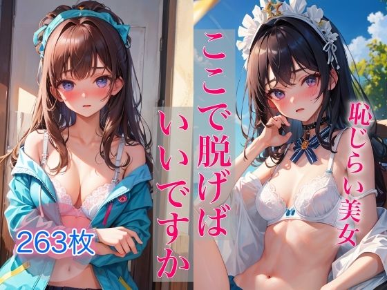 ここで脱げばいいですか 〜そそる恥じらい美女の下着姿〜【ペロメロン】