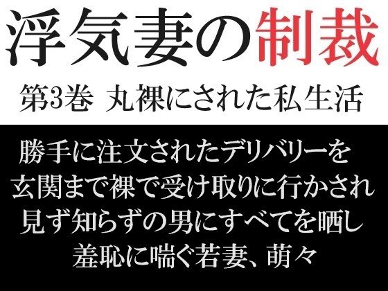 浮気妻の制裁 第3巻 丸裸にされた私生活【海老沢  薫】