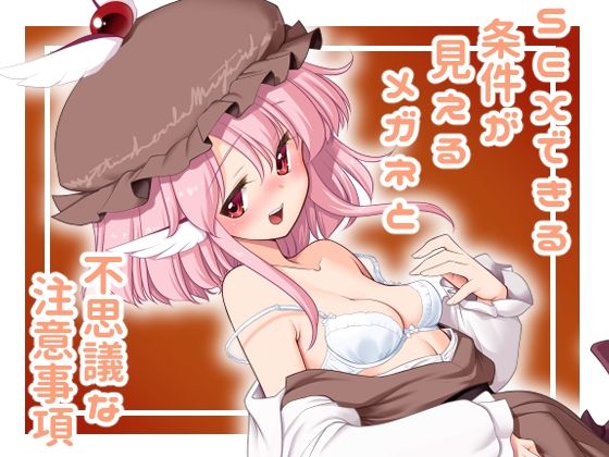 SEXできる条件が見えるメガネと不思議な注意事項【世捨人な漫画描き】