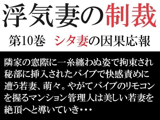 浮気妻の制裁 第10巻 シタ妻の因果応報【海老沢  薫】