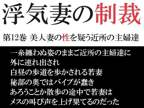 浮気妻の制裁 第12巻 美人妻の性を疑う近所の主婦達【海老沢  薫】